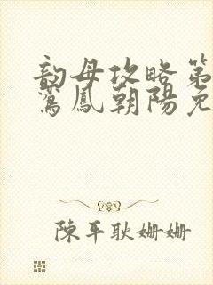 韵母攻略第二部鸾凤朝阳免费阅读