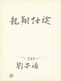 龙翔仕途