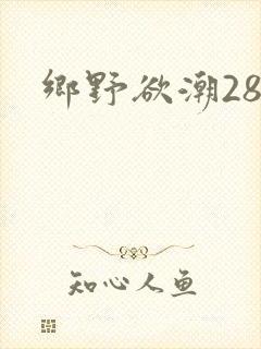 乡野欲潮28章
