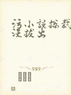 污小说总裁整夜没拔出