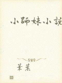 小师妹小说封面