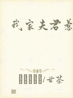 我家夫君惹不起封面
