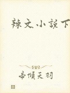 辣文小说下载封面