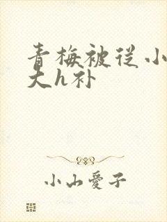 青梅被从小摸到大h补