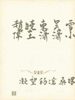 赵晓东吴雪晴郑伟王潇潇小说