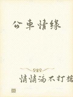 公车情缘
