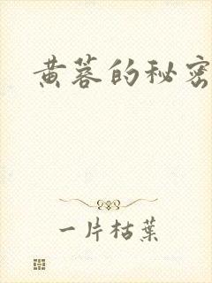 黄蓉的秘密
