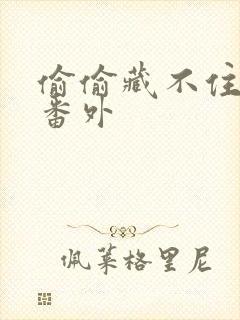 偷偷藏不住新婚番外