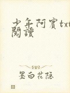 少年阿宾txt阅读