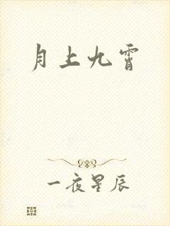 月上九霄封面