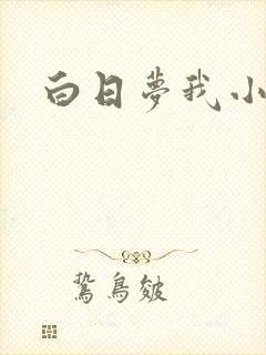白日梦我小说封面