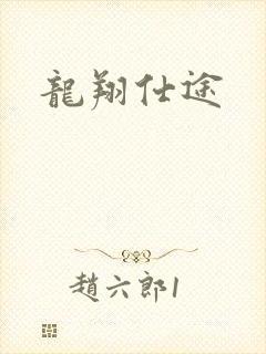 龙翔仕途