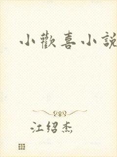 小欢喜小说