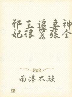 邪王追妻神医狂妃很嚣张全文免费