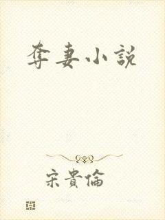 夺妻小说封面