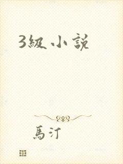 3级小说封面