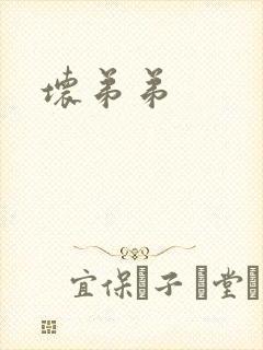 坏弟弟封面