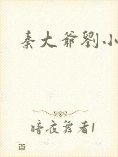 秦大爷刘小静