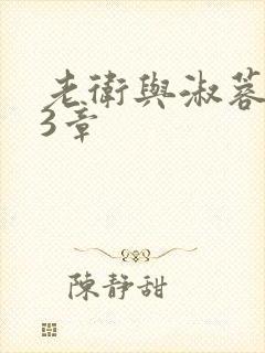 老卫与淑蓉第13章