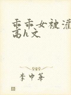 乖乖女被灌满精高h文