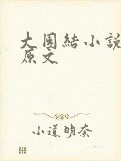 大团结小说阅读原文