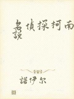 名侦探柯南h小说