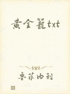 黄金笼txt