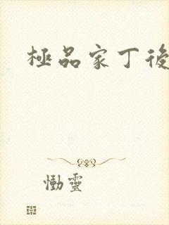 极品家丁后传