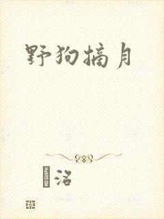 野狗摘月封面