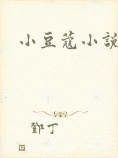 小豆蔻小说封面