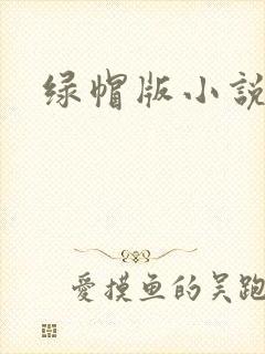 绿帽版小说
