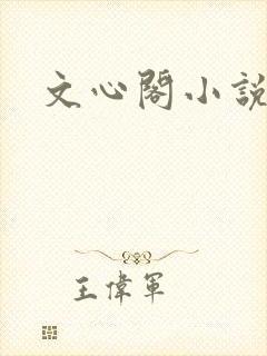 文心阁小说