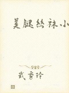 美腿丝袜小说