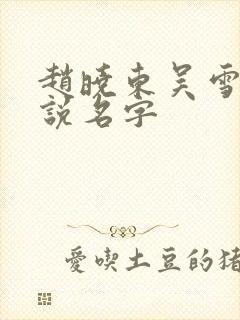 赵晓东吴雪晴小说名字