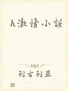 h激情小说