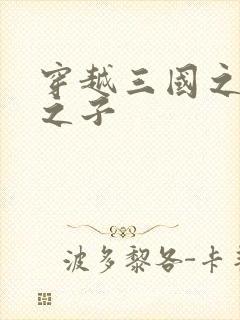 穿越三国之袁绍之子