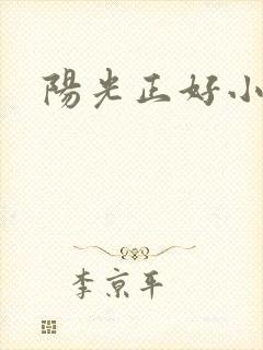 阳光正好小说