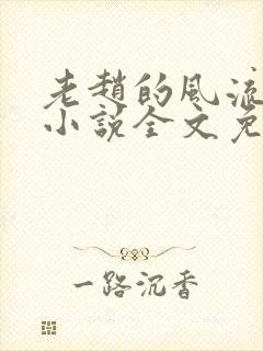 老赵的风流人生小说全文免费阅读封面