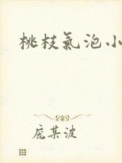 桃枝气泡小说
