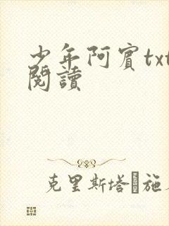 少年阿宾txt阅读