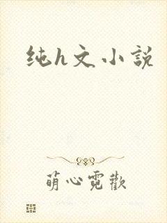 纯h文小说