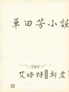 单田芳小说封面