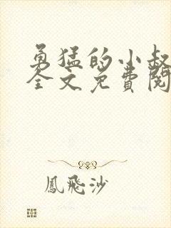 勇猛的小叔小说全文免费阅读