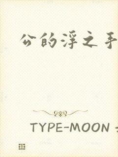 公的浮之手中字