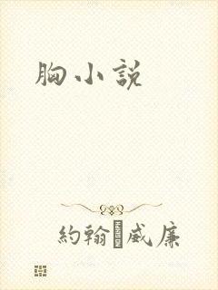 胸小说
