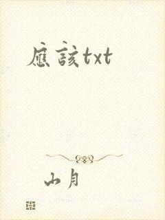 应该txt