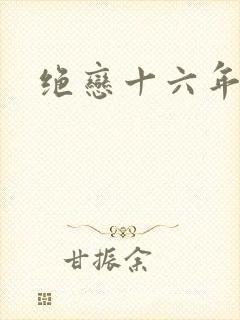 绝恋十六年封面