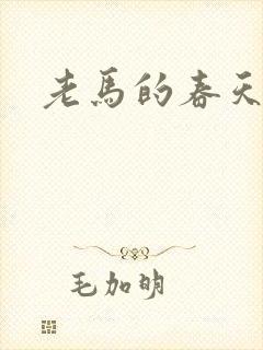 老马的春天敏静