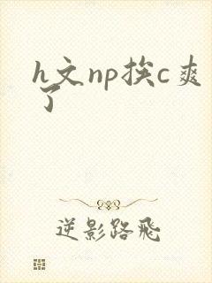 h文np挨c爽了