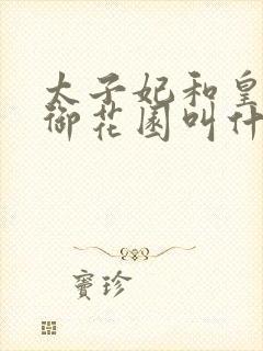 太子妃和皇帝在御花园叫什么小说封面